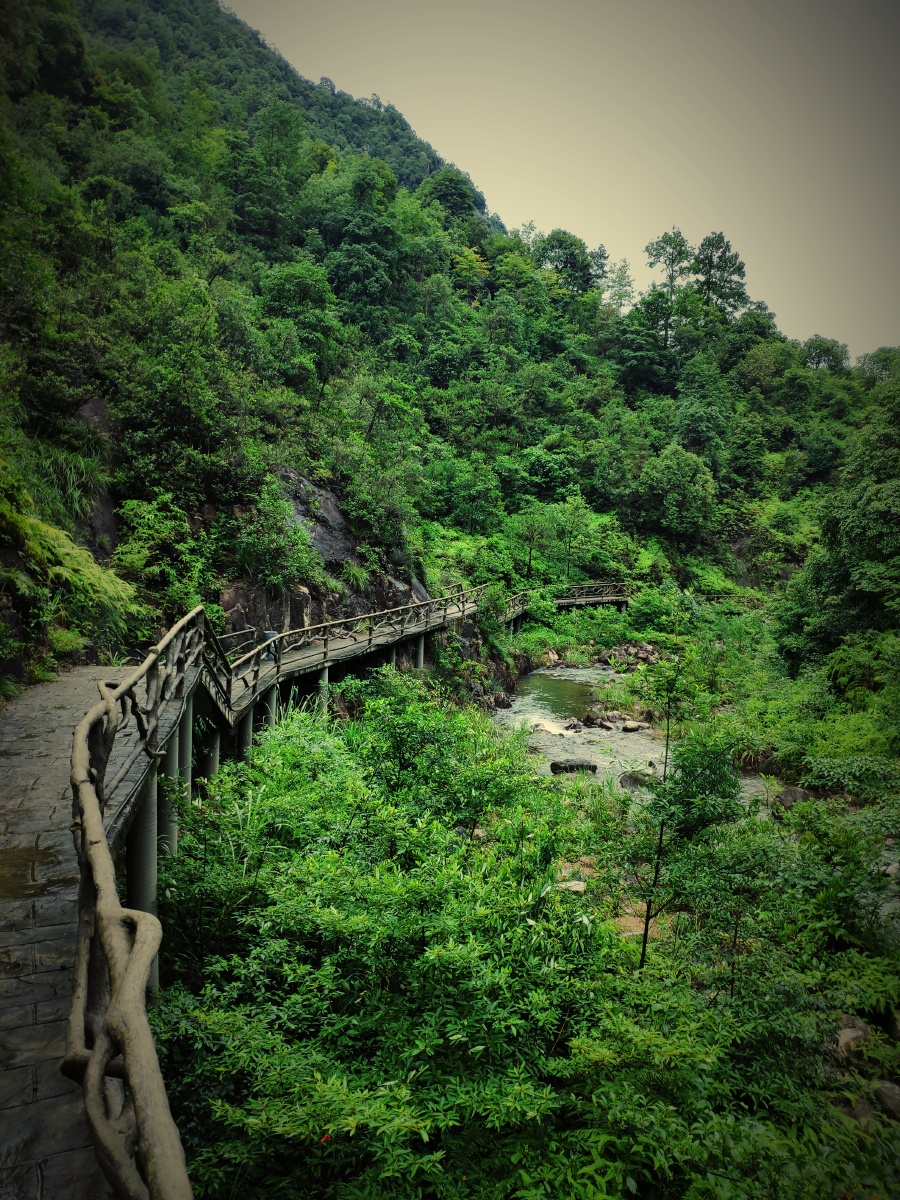 初来温州山水间行走浙江温州瞿溪石岩屋古道别有一番韵味