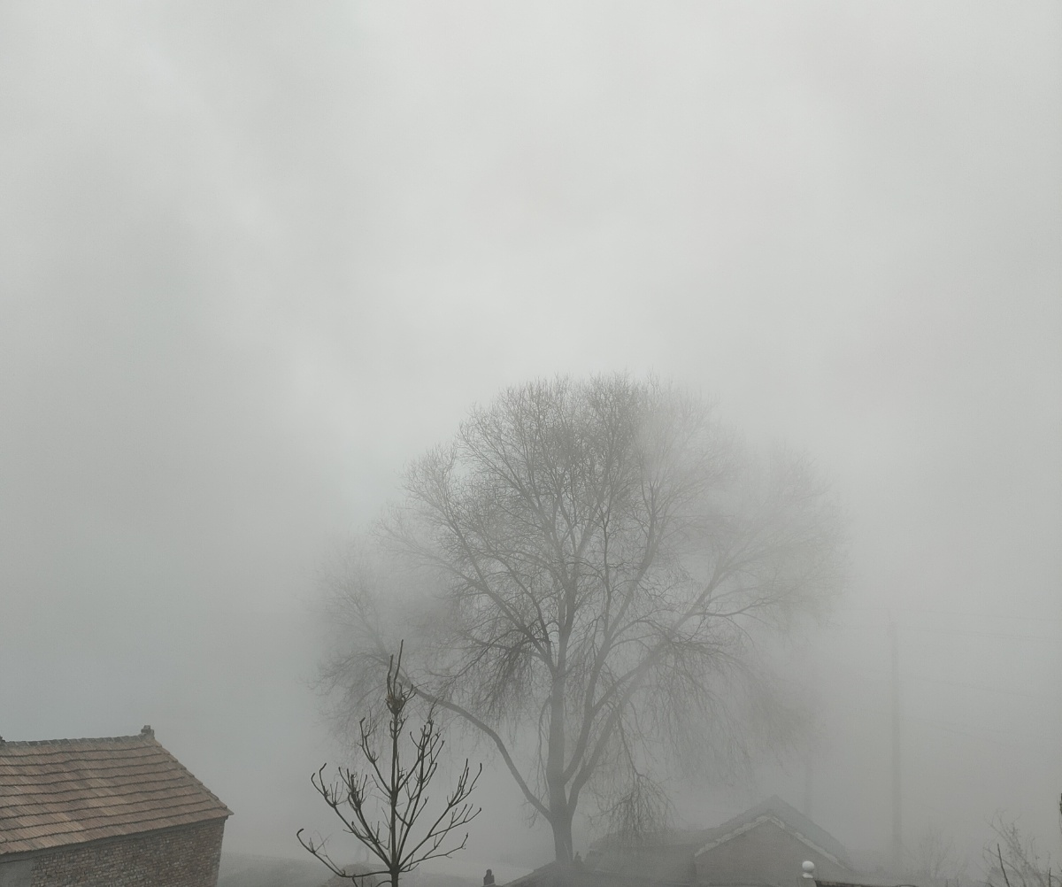 大雾四起我在无人处爱你云雾散尽我爱你人尽皆知