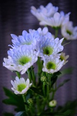 FFE5C45F-3BD7-4761-9619-F275C9A39052/L0/001