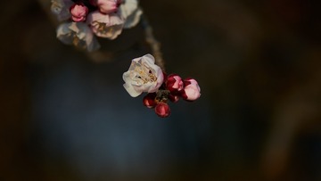 EE020AD0-E685-41F1-B126-F21DDA84D602/L0/001