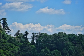 DSC09084-01