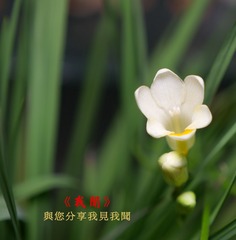 p03
