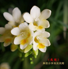 p05