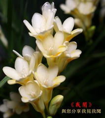 p02