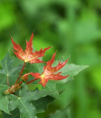 P1170463