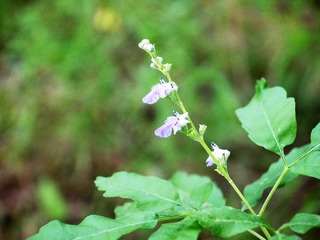 P1170484