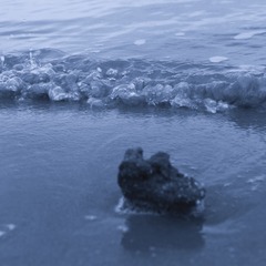 3168D5E5-B059-4A7A-AD0C-2E6C72A0E432/L0/001