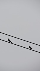 599168