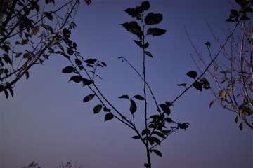 2924AD0C-3420-4D5A-8B0F-750E201B37A1/L0/001