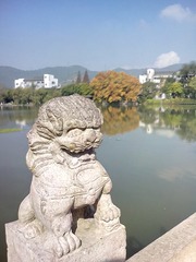 IMG_20141122_105436