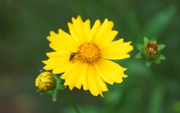 2015051