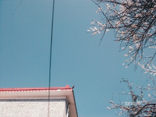 6B74F04A-25C8-401C-9145-5996ABDF9128/L0/001
