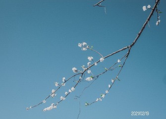 E9108225-77AA-4D2C-AB91-CABCCE890404/L0/001