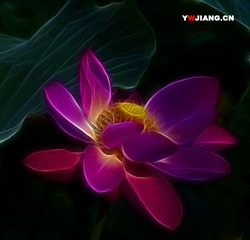 荷