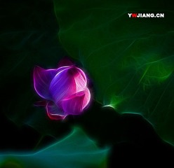 荷