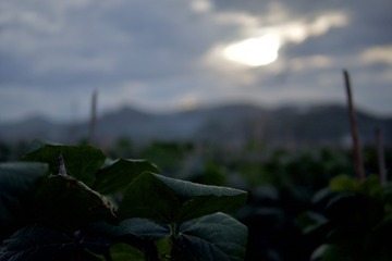 72C9755C-C2B4-4125-A03B-F28B10D98246/L0/001