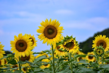 B7BC098B-5866-41D9-87E5-36B62C762471/L0/001