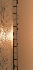 3C62EF63-5A1F-4CA1-9A71-5103F66A837E/L0/001