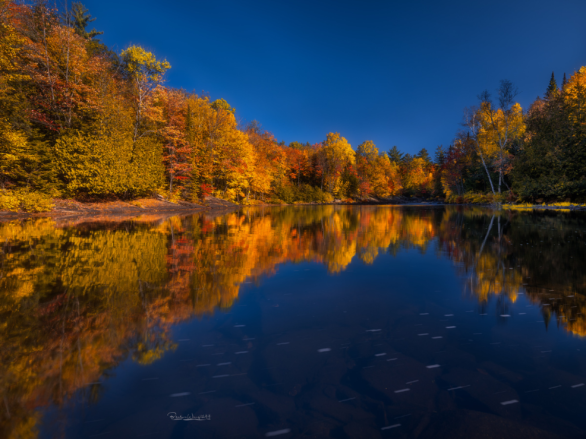 一亿像素的秋景