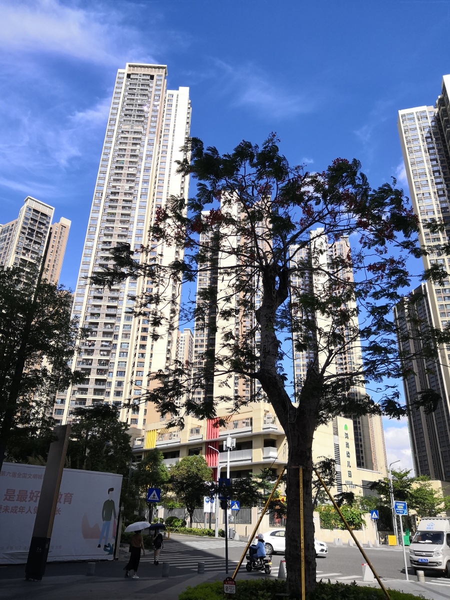 深圳 太阳正高时