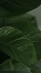 50DB8CF8-E3C8-4511-AA9A-10E55146DDD1/L0/001