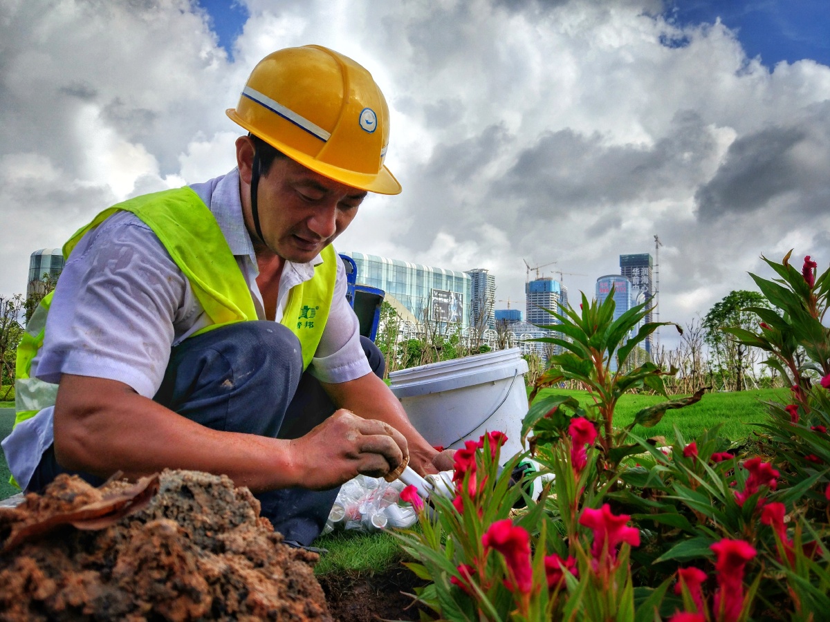 园艺工 - 光头谭摄影 - 图虫