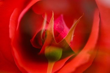 _DSC4649_1461030296263