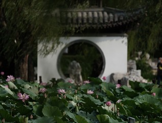 1CDB7863-D919-4DBE-9F73-50DD27473838/L0/001