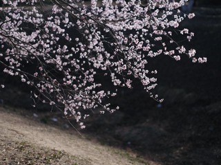 B6791AB0-301F-4B55-B5D1-E213C879B1C4/L0/001