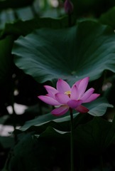 3A400860-6F2C-4509-B8D8-B3146D618A3B/L0/001