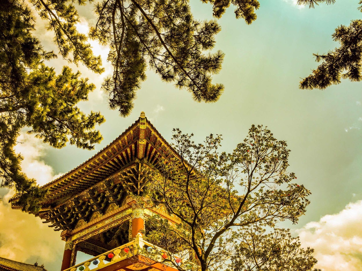 济州岛药泉寺手机拍摄