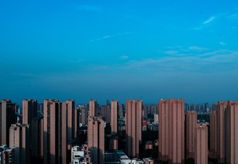 300775