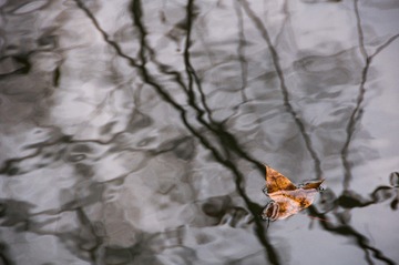 08012016_24