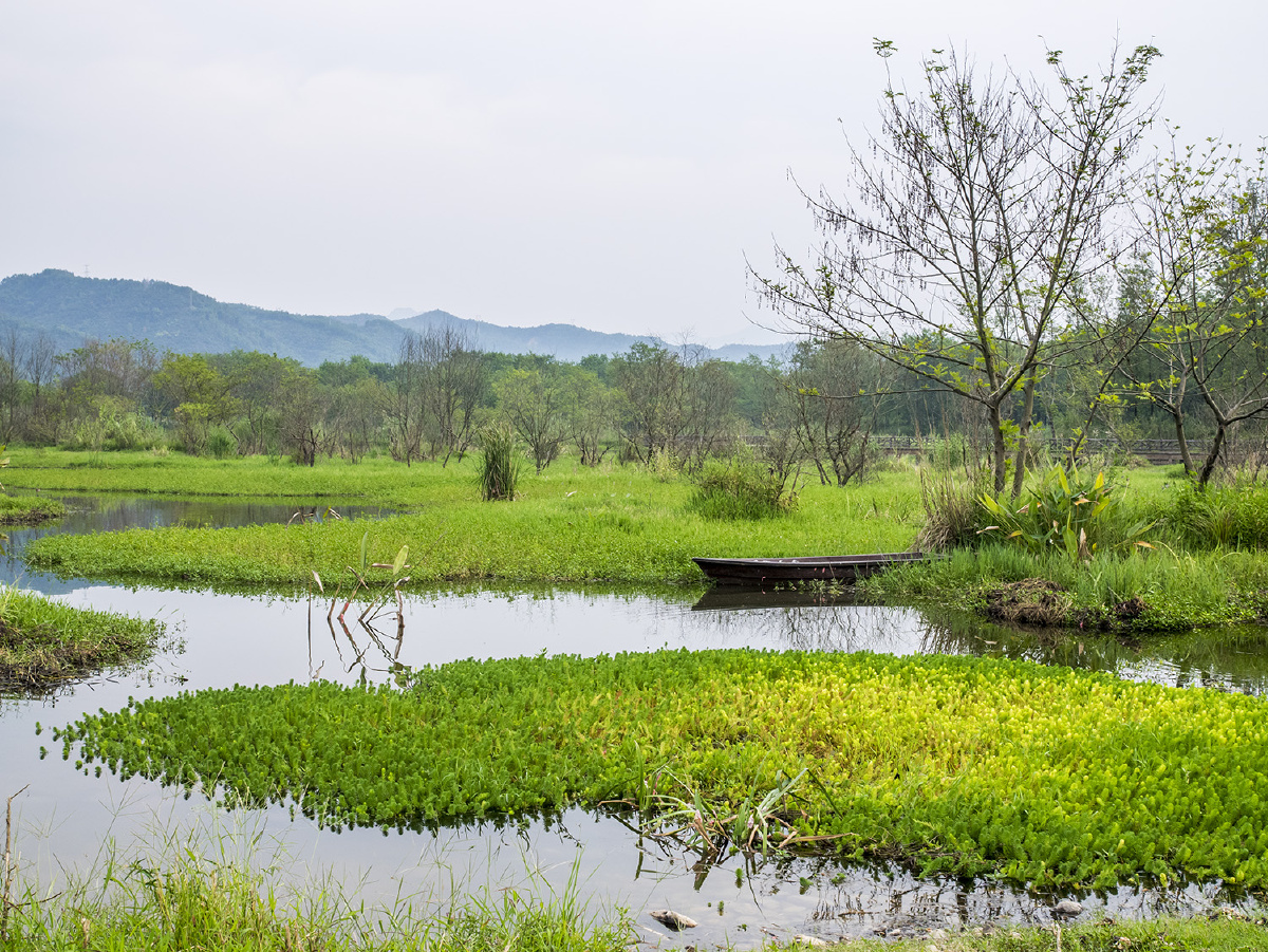 浙江丽水九龙湿地公园