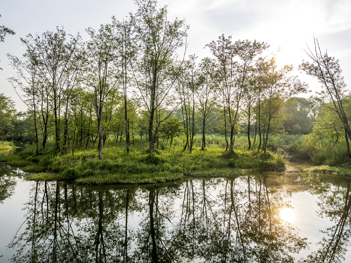 浙江丽水九龙湿地公园