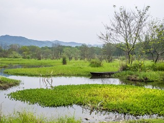 P9880137