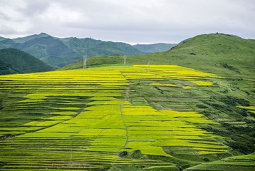 P9870592