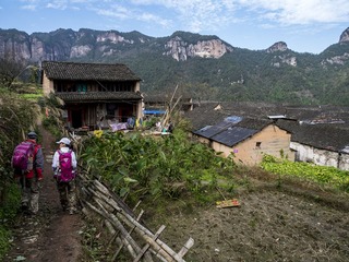 P9990445