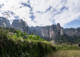 P9990455
