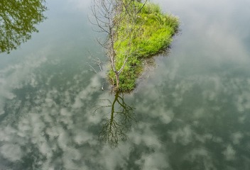 P9880006