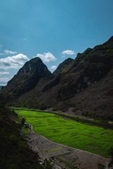 1000043517