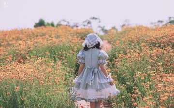PIX_7979