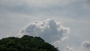 1000054067