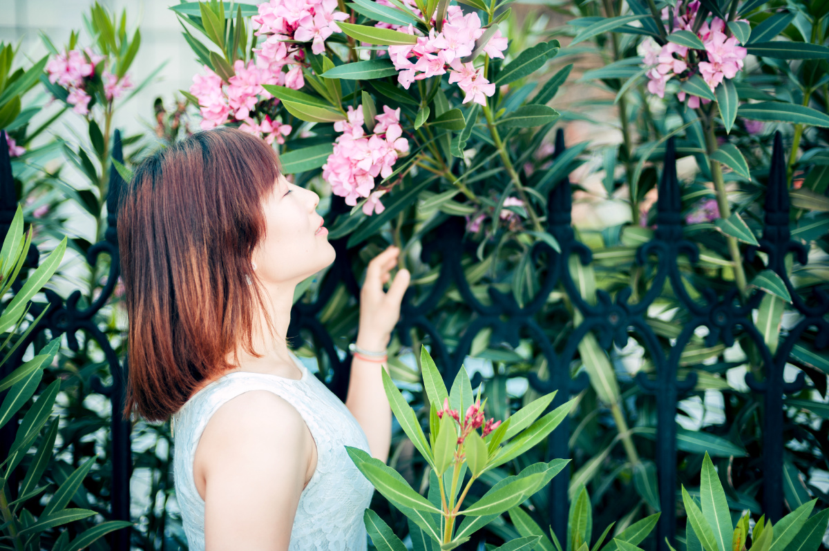客片二 - 奔跑的小母猪 - 图虫网 - 最好的摄影师
