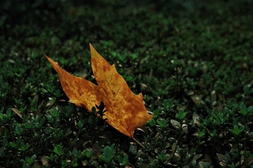 00F0B6E3-78D6-4A5F-9E12-47A58D539B73/L0/001