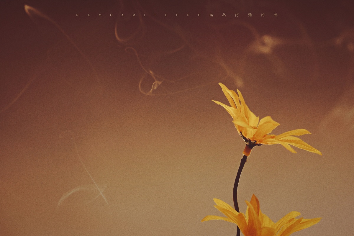 往事如烟浅笑而安