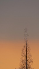 15FE04E3-960C-4672-AEED-0FF03C63EF09/L0/001