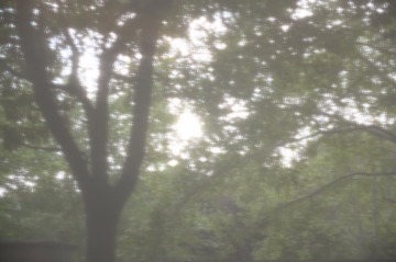 6726FA34-4970-4619-913C-5E3E21834E17/L0/001