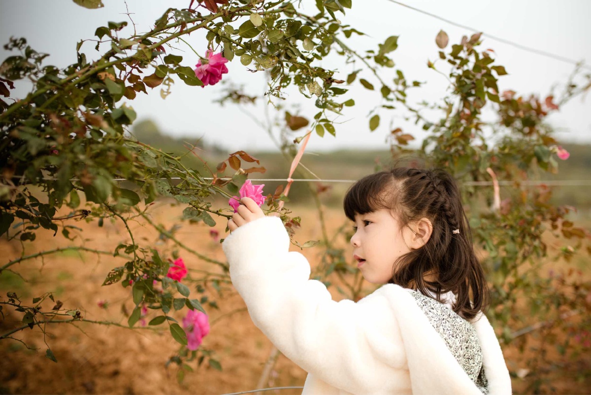 采野花的小兔纸