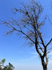 8C525789-6DA5-4CC5-B36B-879E2CF2F47D/L0/001
